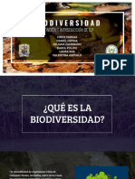 Biodiversidad 421 Grupo 5