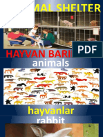 5 9 Animal Shelter Vocabulary (Özgün)