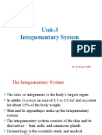 Unit 3 Integumentary System