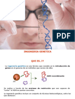 4.- INGENIERIA GENETICA