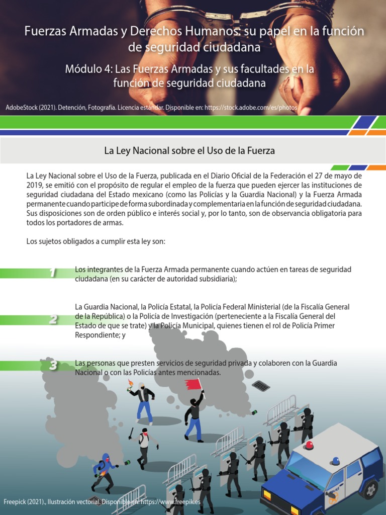 Ley Nacional sobre el Uso de la Fuerza | PDF | Policía | Armas de fuego