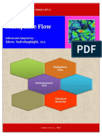 Multiphase Flow: Ideen Sadrehaghighi