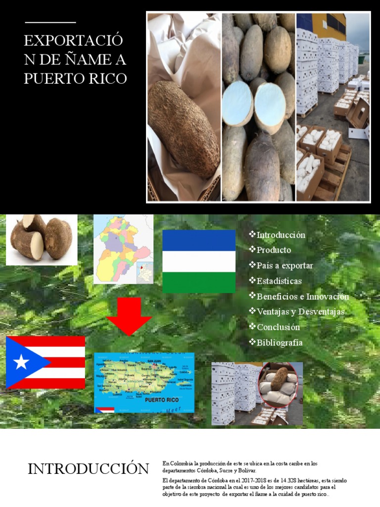 Exportación de Ñame A Puerto Rico-1 | PDF