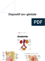 Dispositif Uro-Génitale Biro