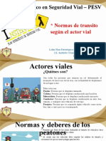 Normas de Transito, Actores Viales.