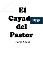 El Cayado Del Pastor i