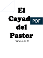 El Cayado Del Pastor V