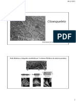 4 - Citoesqueleto