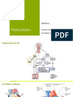 Capítulo 4 - Coração