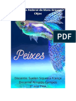 O que são peixes