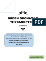 Orden Odonata y Thysanoptera