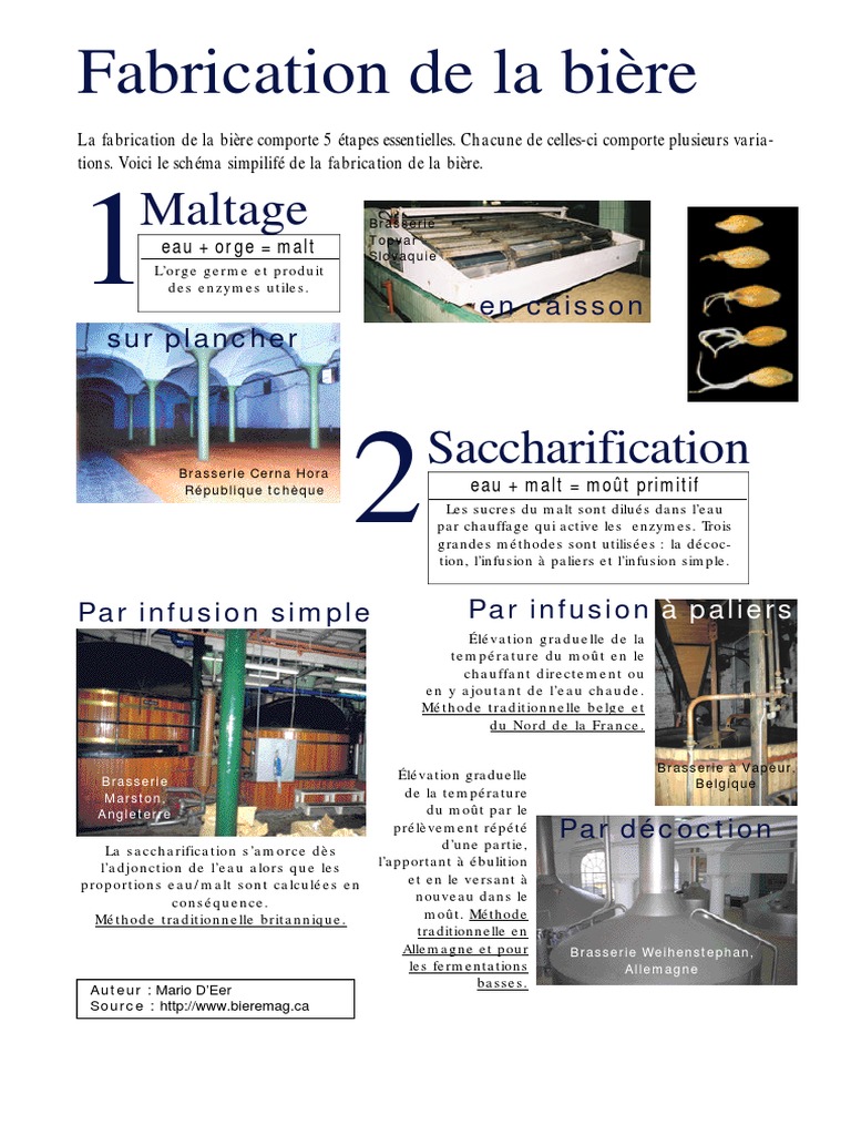 Étapes de fabrication de la bière PDF Bière Malt — free download