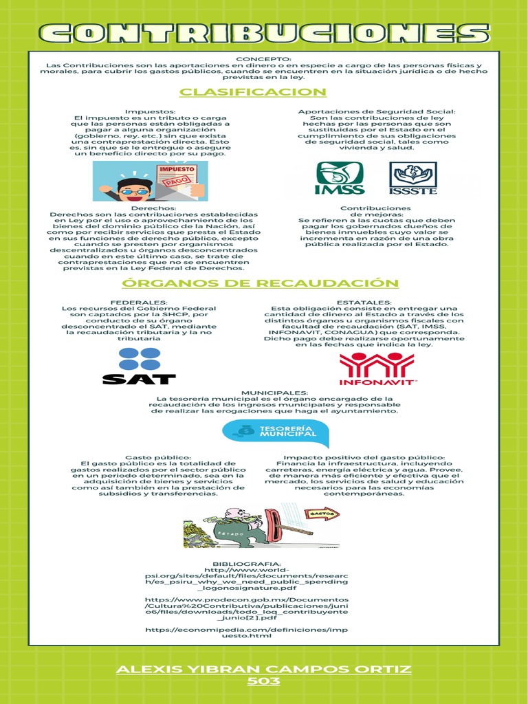 Infografia de Las Contribuciones | PDF | Gobierno | Economias