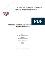 Los Factores Ambientales Del Ecosistema Donde Vivo (Mapa Conceptual)