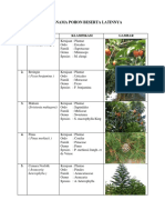 30 Pohon Dan Klasifikasinya