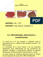 Higiene y control microbiológico en la industria cárnica