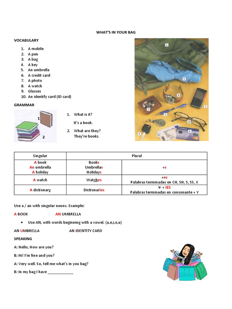 What'S in Your Bag Vocabulary A An A S S S S Es IES PDF Plural Linguistic Typology