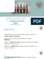 Tema6 Adaptaciondelproducto 170331224525