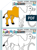 1 Atividades Do Camelo