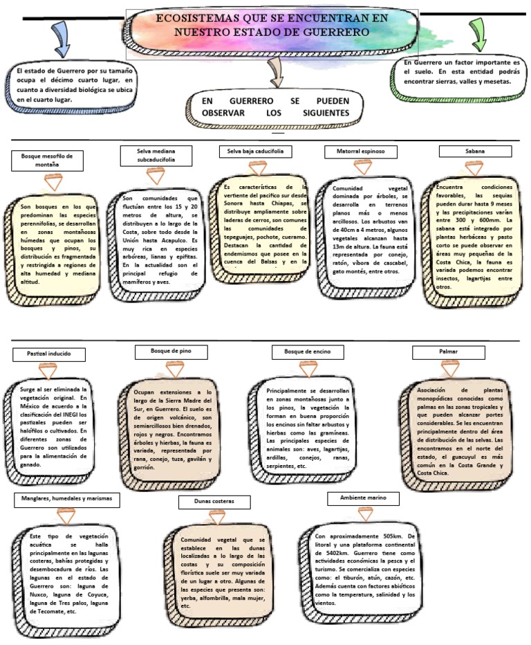 Mapa Conceptual de Ecosistemas en Guerrero | PDF | Selva | Arboles