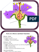 Flower Parts