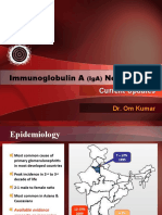 Immunoglobulin A Nephropathy: Current Updates