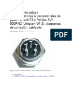 Conexión de terminales  extensométricas a los terminales de peso FizTech T3 y PetVes EV1