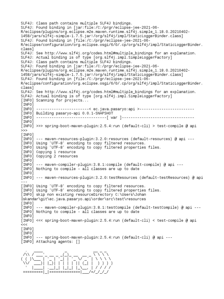 Log file documenting multiple SLF4J bindings being found during