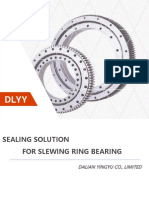 Slewing Ring Bearing Seal Catelogue Dlyy V02