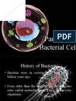 Parts of A Bacterial Cell