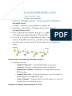 Molecular Basis of Inheritance: DNA: Structure of Polynucleotide Chain