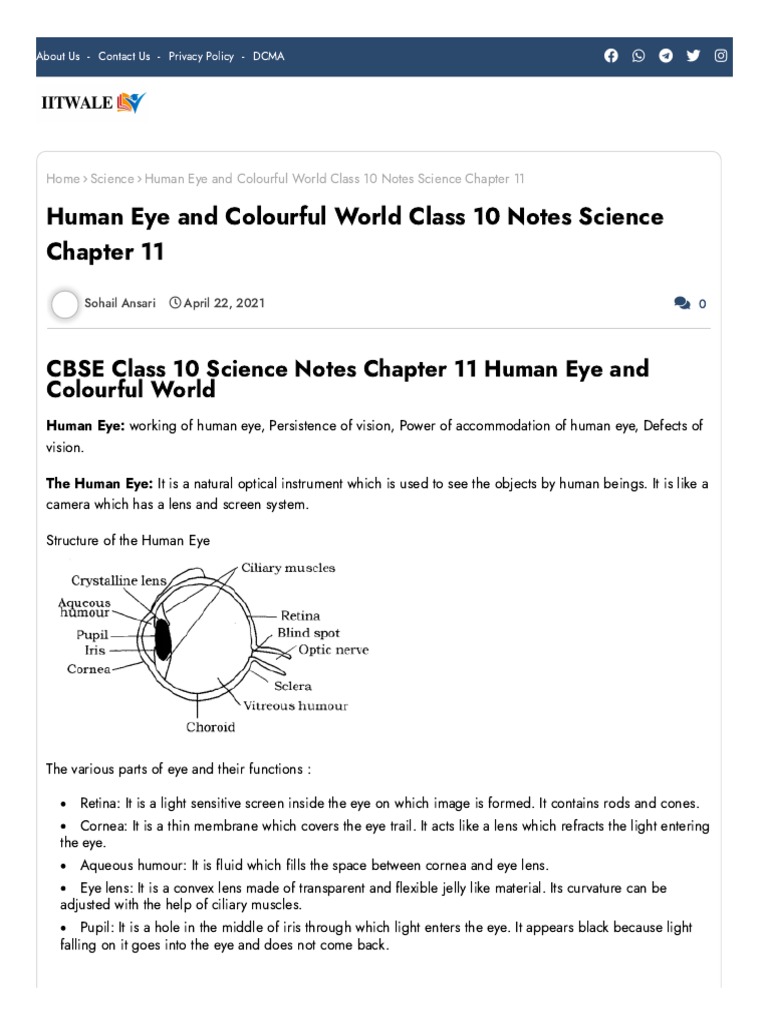 Human Eye and Colourful World Notes | PDF | Eye | Human Eye