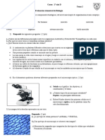 1er Trimes Tema 2 1° D