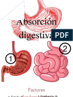 Absorción Digestiva