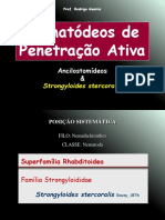 Aula 9 - Nematóides Penetração Ativa - Estrongiloidíase