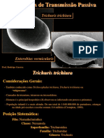 Nematóides de Transmissão Passiva: Trichuris trichiura e Enterobius vermicularis