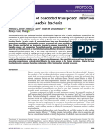 Rapid Ordering of Barcoded Transposon Insertion Libraries of Anaerobic Bacteria
