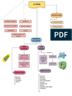 Mapa Conceptual de La Célula