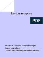 Sensory Receptors