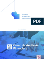 Brochure Auditoria Financiera