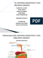 Fisiologia Del Aparato Digestivo y Sus Organos Anexos