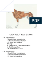 OTOT KAKI DAN TELAPAK