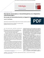 Patología: Descripción Microscópica e Inmunohistoquímica en El Diagnóstico Anatomopatológico