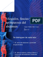 Músculos, Fascias y Aponeurosis Del Abdomen