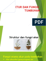 Struktur Dan Fungsi Tumbuhan