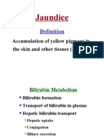 Case of Obstructive Jaundice