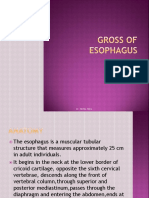 esophagusgross-150621144847-lva1-app6892