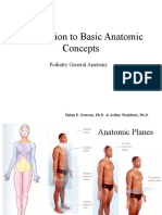 Introduction To Basic Anatomic Concepts: Podiatry General Anatomy