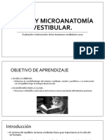 2-Macro y Microanatomia Vestibular