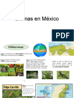 Biomas en México